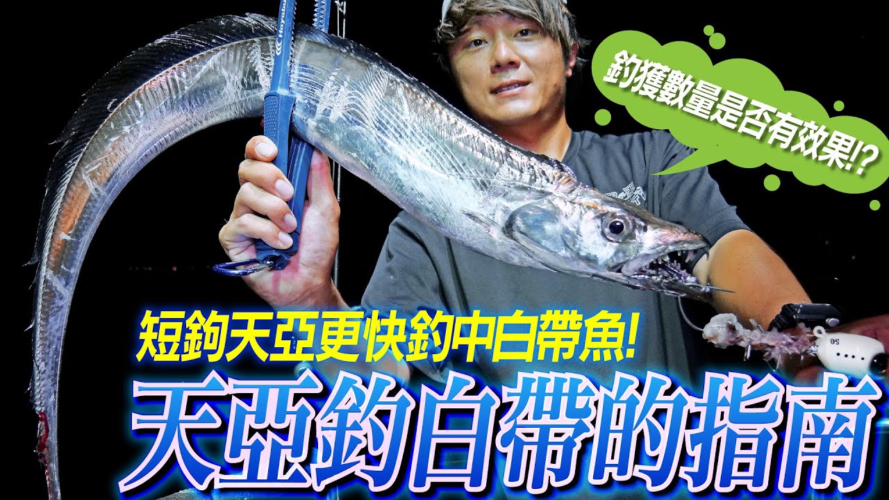 Hayabusa SW415船太刀魚-單鉤天亞50號- 台灣星光貿易