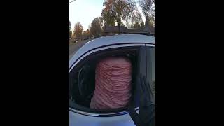 Police Pulls Over… a Driver Made of Ham?! | Sora 2 Bodycam Parody