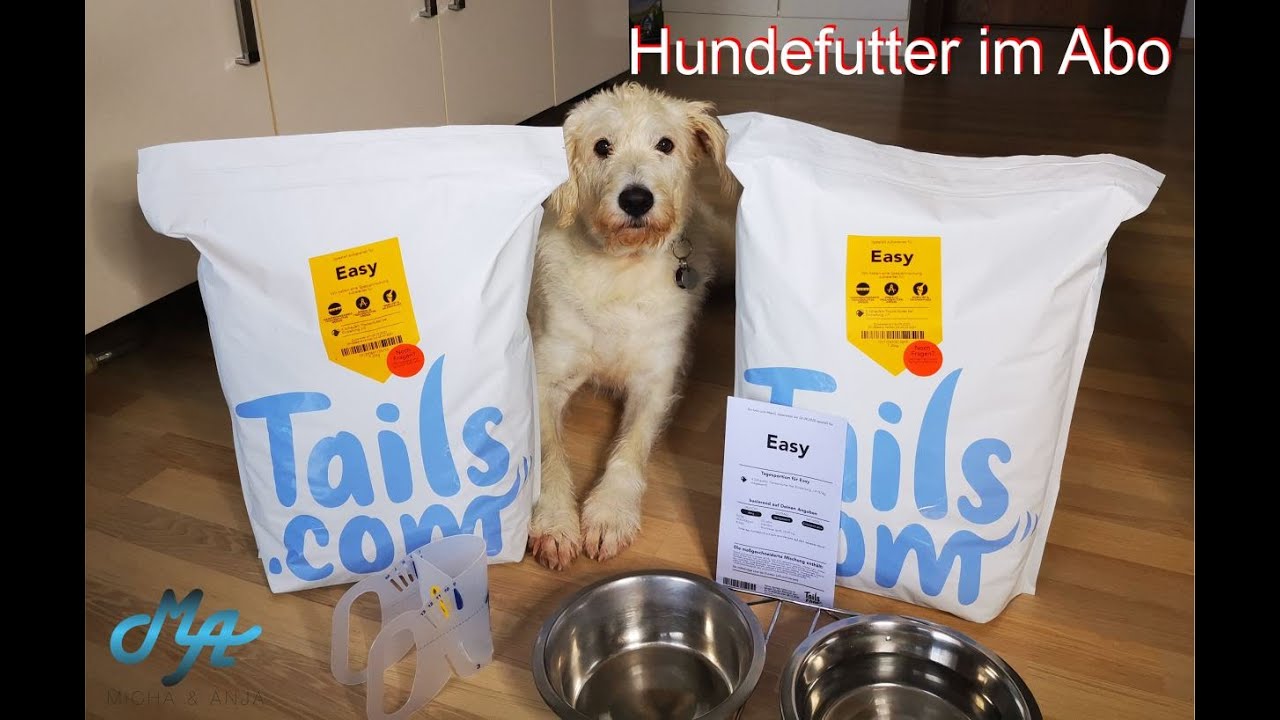 fahrradanhänger kaufen Fahrradanhänger klappbar online kaufen main image 1