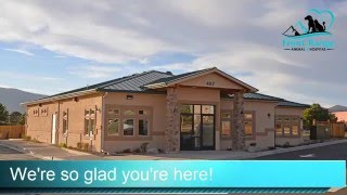 Front Range Animal Hospital Tour