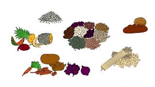 RMG Organic Waste Sorting - Spanish