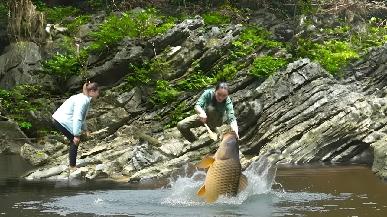 Set a hook trap to catch wild fish in the stream - Plant bananas around ...