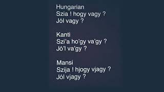 Khanti,Mansi and Hungarian language comparison