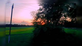 sunset mobile videography ️//abeli//sunset beautiful nature Status video