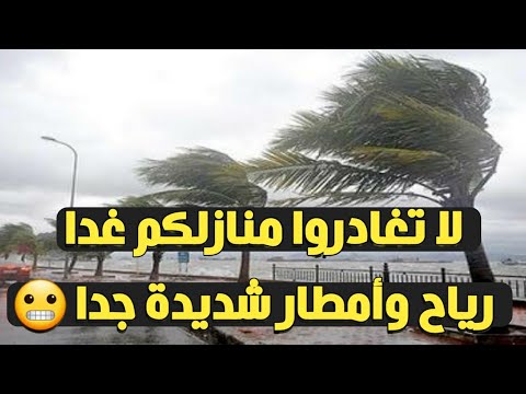 تحذير هام لا تغادروا منازلكم غدا رياح وأمطار شديدة