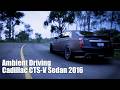 Ambient Driving | Cadillac CTS-V Sedan 2016 | Forza Horizon 5