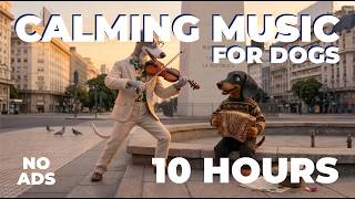 10 Hours of Calming Music for Dogs | Buenos Aires No. III – Full Album | Tango & Lolo