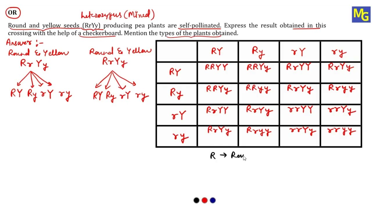 MQP - 4 | Part C Biology | 3 Mark | Class 10 | KSEAB | 2025 - 2026 | SSLC | Model Question Paper