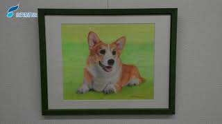 動画 犬や猫 リアルな鉛筆画 馬場﨑さん 大和町 個展 まちの話題 佐賀新聞ニュース 佐賀新聞live