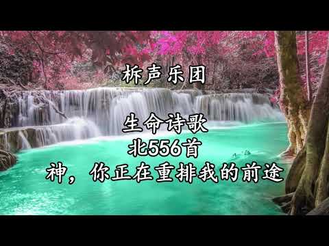 生命诗歌 北556 大352 神你正在重排我的前途