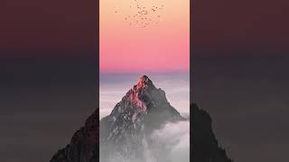 #livewallpaper #mountains #mountainlandscape #mountain #birds #bird #nature #landscape #winter #snow