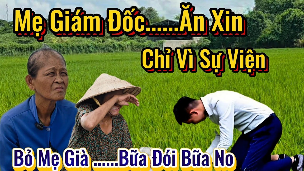 Đứa Con Trai Chí Hiếu Vì Bên Vợ Cho Làm Giám Đốc. Bỏ Mẹ Già Trong Cân Chòi Hoang Vắng