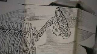www.ARTimeNY.com SUN XUN.mov