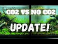 Crazy Difference After 1 Week Only! CO2 vs NO CO2 Update - Twin Scape Experiment Ep #3