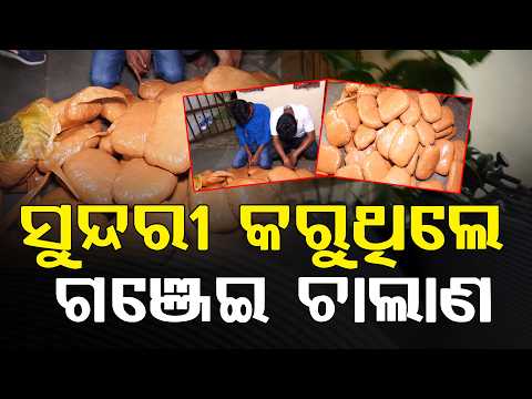 ଗଞ୍ଜେଇ ଚାଲାଣ ବେଳେ ଧରାପଡ଼ିଲେ ‘ଲୈଲା-ମଜନୁ’ ଯୋଡ଼ି  ll FOCUS PLUS ||