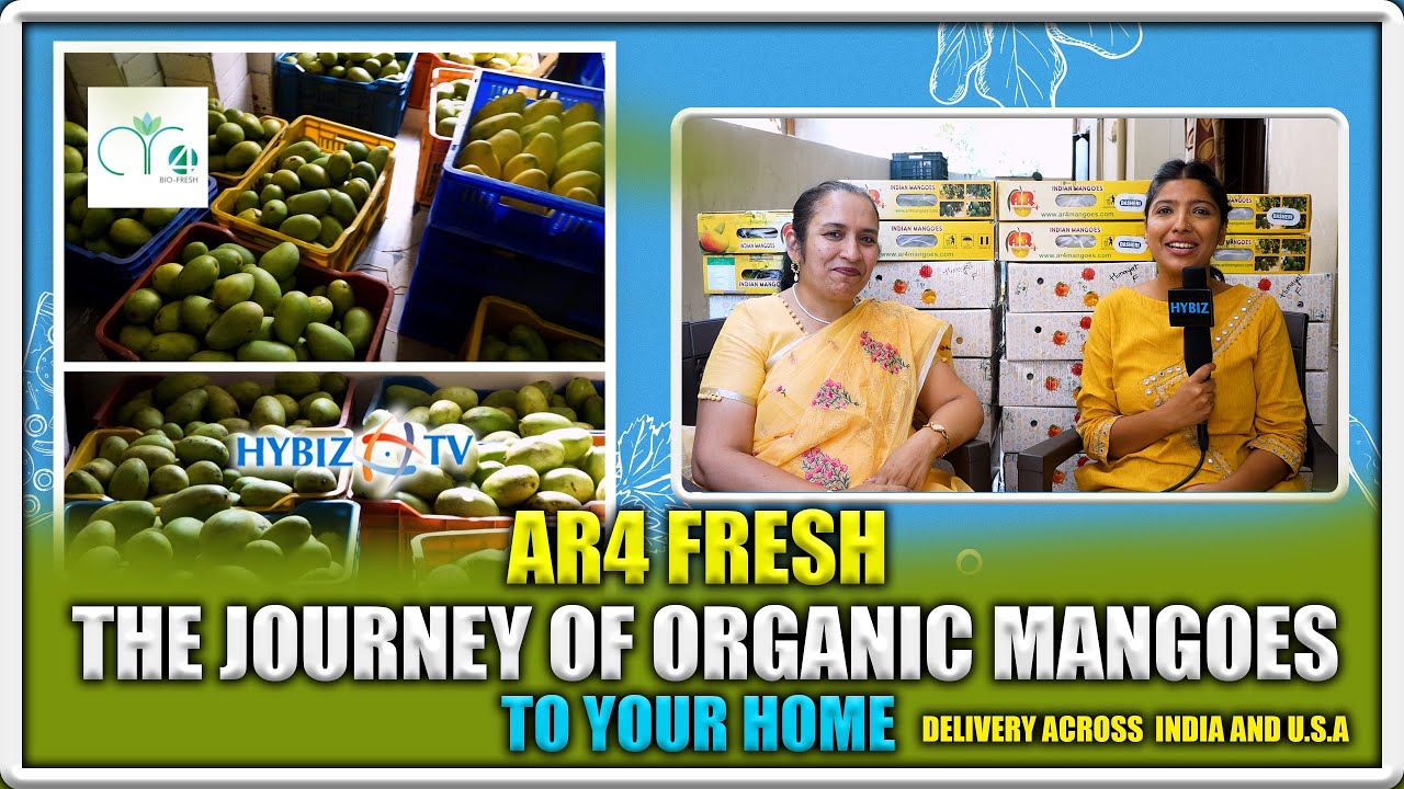 AR4 Fresh Organic Mangoes In Hyderabad Biodynamic Mango Farming tv YouTube