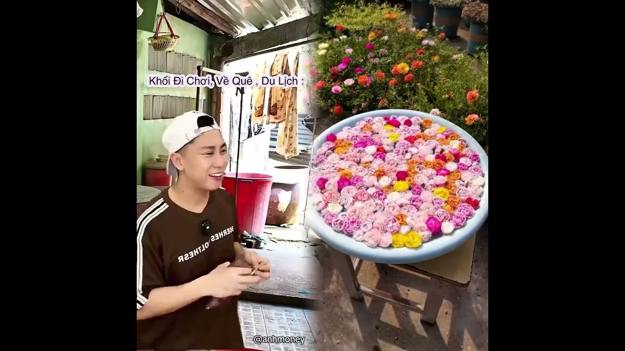 anhmoney Hài hước video tổng hợp