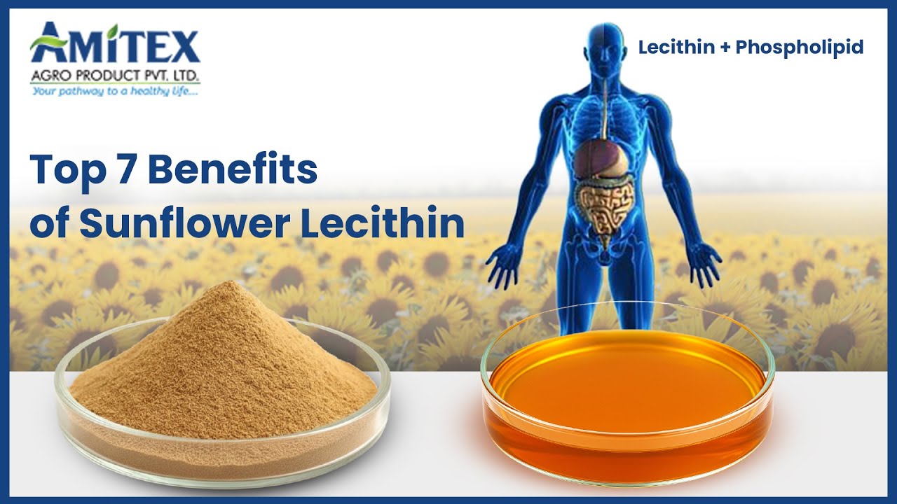 Top 7 Benefits of Sunflower Lecithin | A Natural Health Ingredient by Amitex