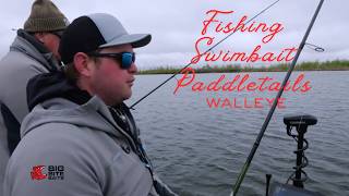 Fishing 411~ Fishing Swimbait Paddletails for Pike, Walleye and Other Species