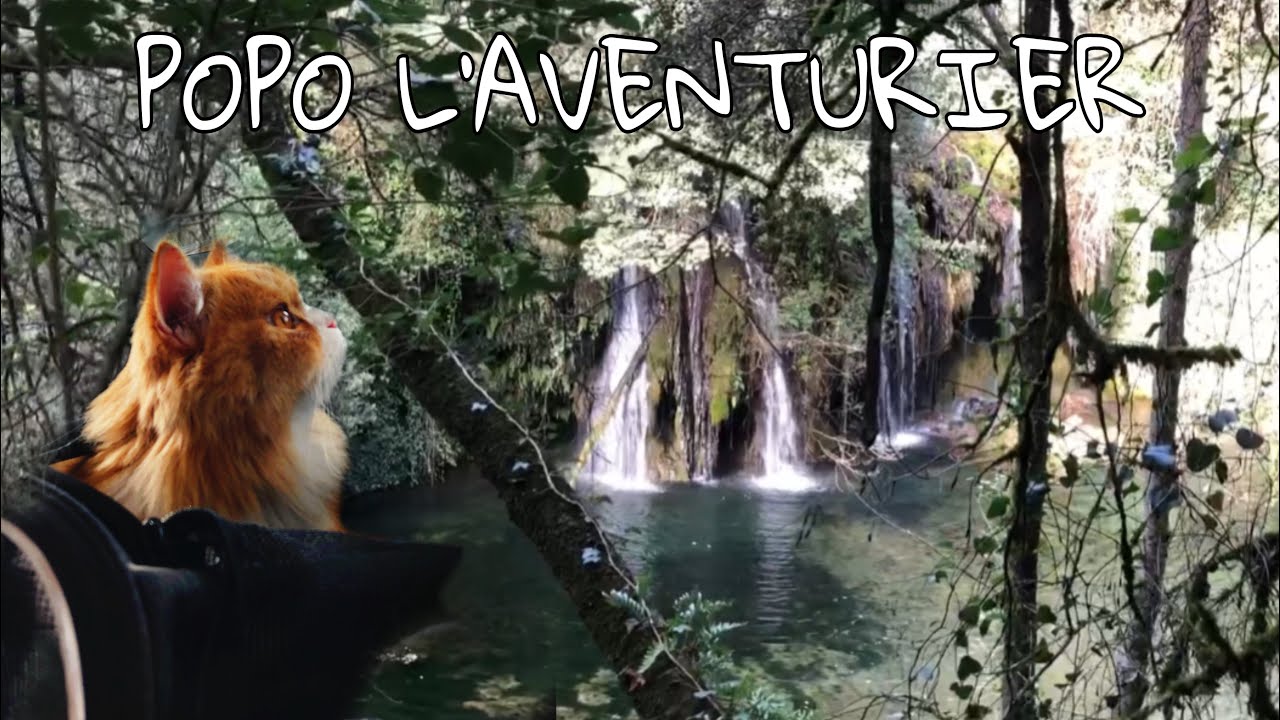 QUI FAIT UNE RANDONNÉE AVEC UN CHAT | Choup Choup