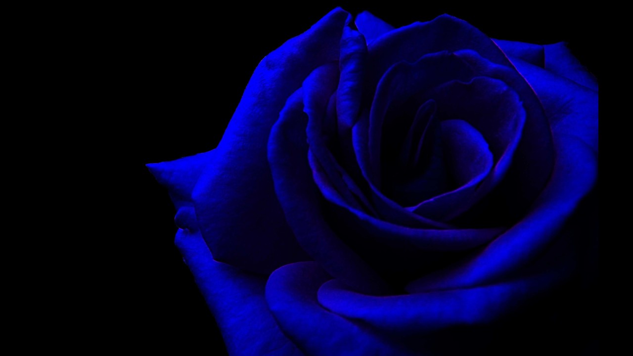 Chilling after losing room access