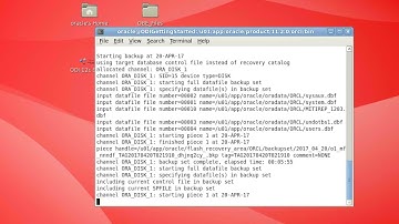 Backup de una base de datos Oracle con RMAN