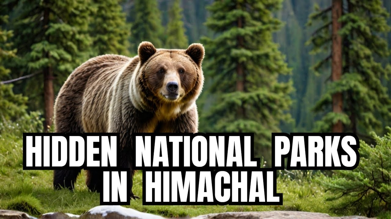 National Parks of Himachal Pradesh | Top secrets of Himachal Pradesh's National Parks