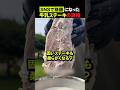 牛乳でステーキ柔らかくなる説🥛