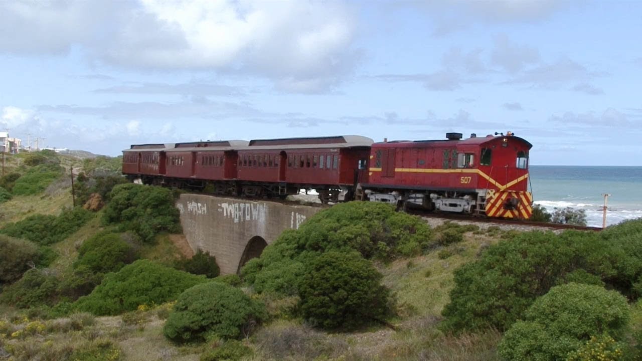 Are Dogs Allowed On The Cockle Train