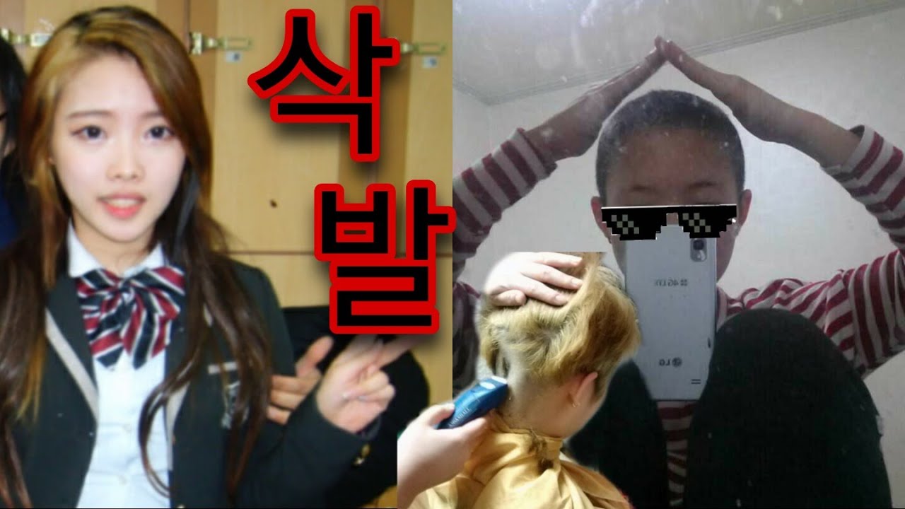 삭발해봤다/여자 삭발/머리 기르는 과정