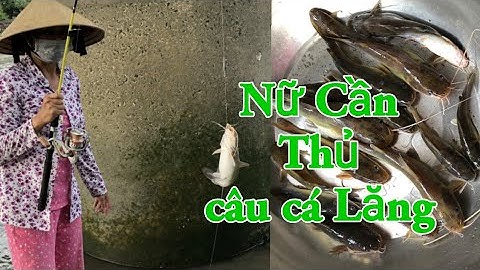 Trúng mánh câu Toàn CÁ LĂNG khủng và màn lên cá đầy kịch tính # tuấn ròm miền tây #