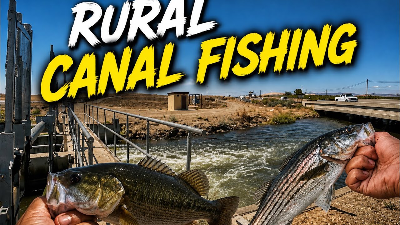 Fishing RURAL Canals for Bass!