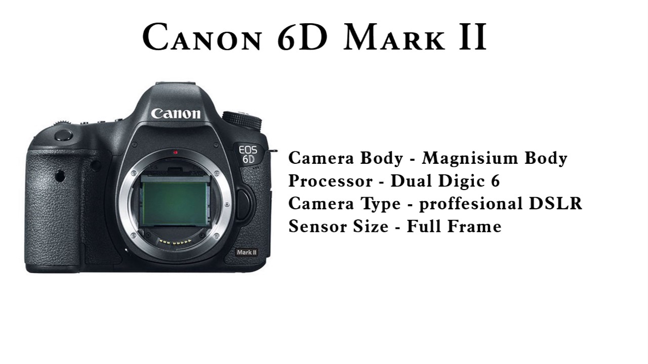 Canon mark сравнение. Canon EOS 6d Mark II вес. Карта памяти для Canon 5d Mark II. Серийный номер Canon 6d Mark II.