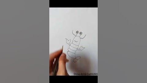 How to draw a shrimp 🍤 | Easy drawing for kids #shrimp #easydrawing #kidsdrawing #kidsvideo #draw
