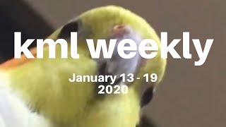 kml weekly meme compilation - #184