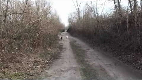 Où se promener Indre-et-loire ?