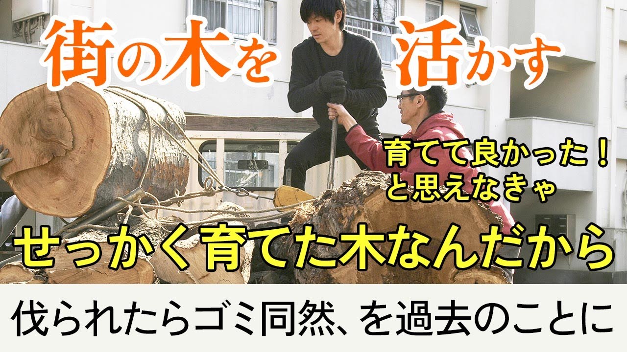 街の木を木材に！伐られて終わりじゃもったいない！もっともっと活かし