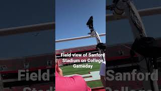 UGA’s Sanford Stadium on College Gameday #uga #cfb #dawgs #shorts #latekick