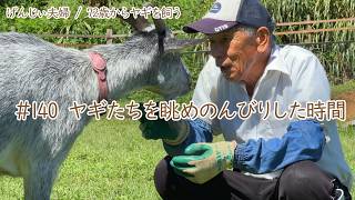 79歳ヤギ飼い#3】ヤギたちを眺めのんびり過ごす時間「72歳からの楽しい
