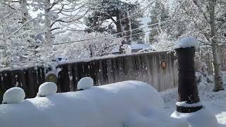 After math if the storm yesterday