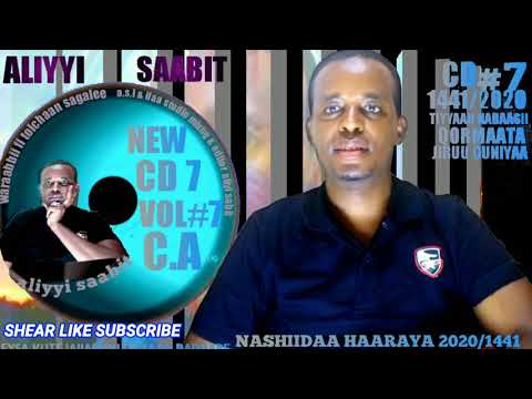 Nashiidaa Aliyi Sabit Tan Channel Gubaterra Turte 