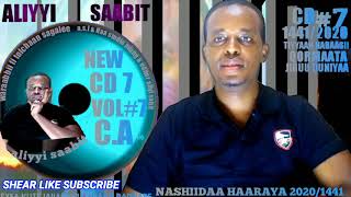 nashiidaa aliyi sabit tan channel gubaterra turte