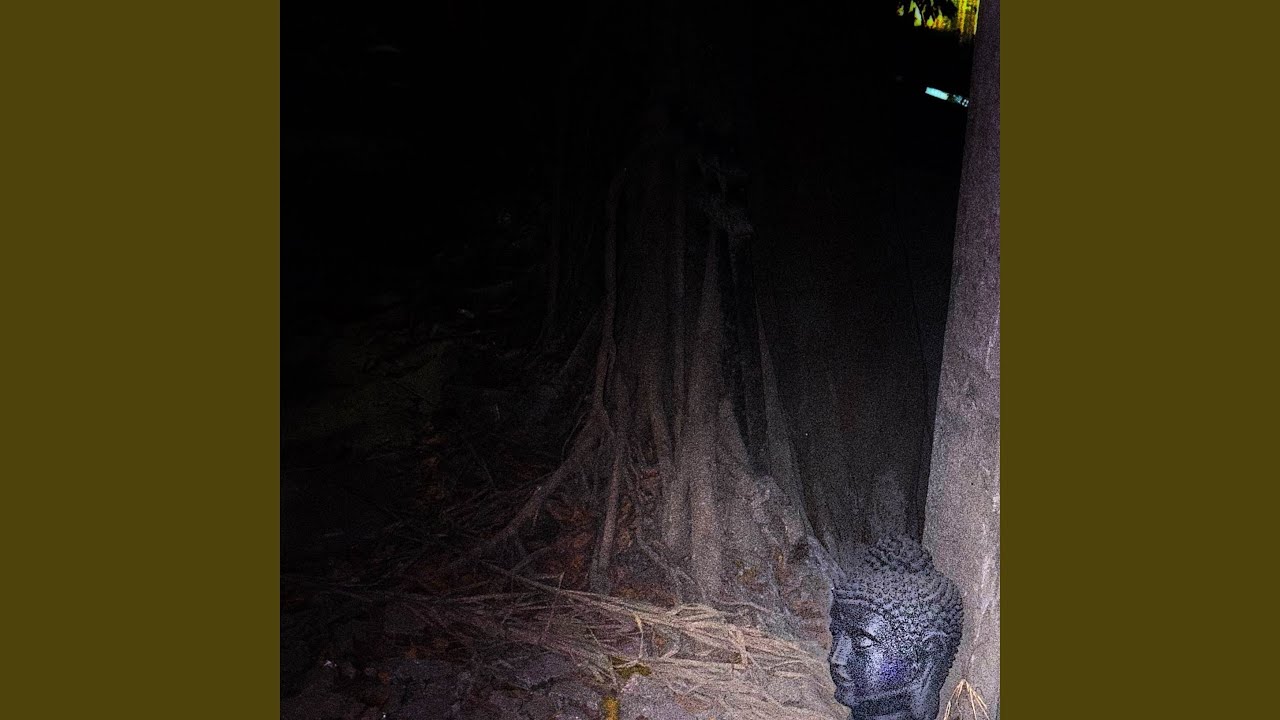 Tonton Progressive Delusion di YouTube Tonton Progressive Delusion di YouTube