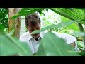 Tracking Plant and Animal DNA Can Transform Science