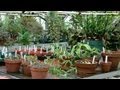 Understanding Plant Barcoding and Ecosystems