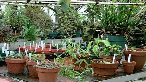 Tracking Plant and Animal DNA Can Transform Science