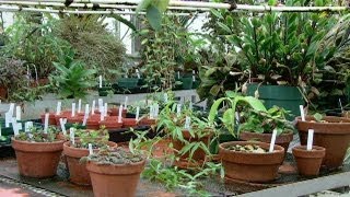 Tracking Plant and Animal DNA Can Transform Science