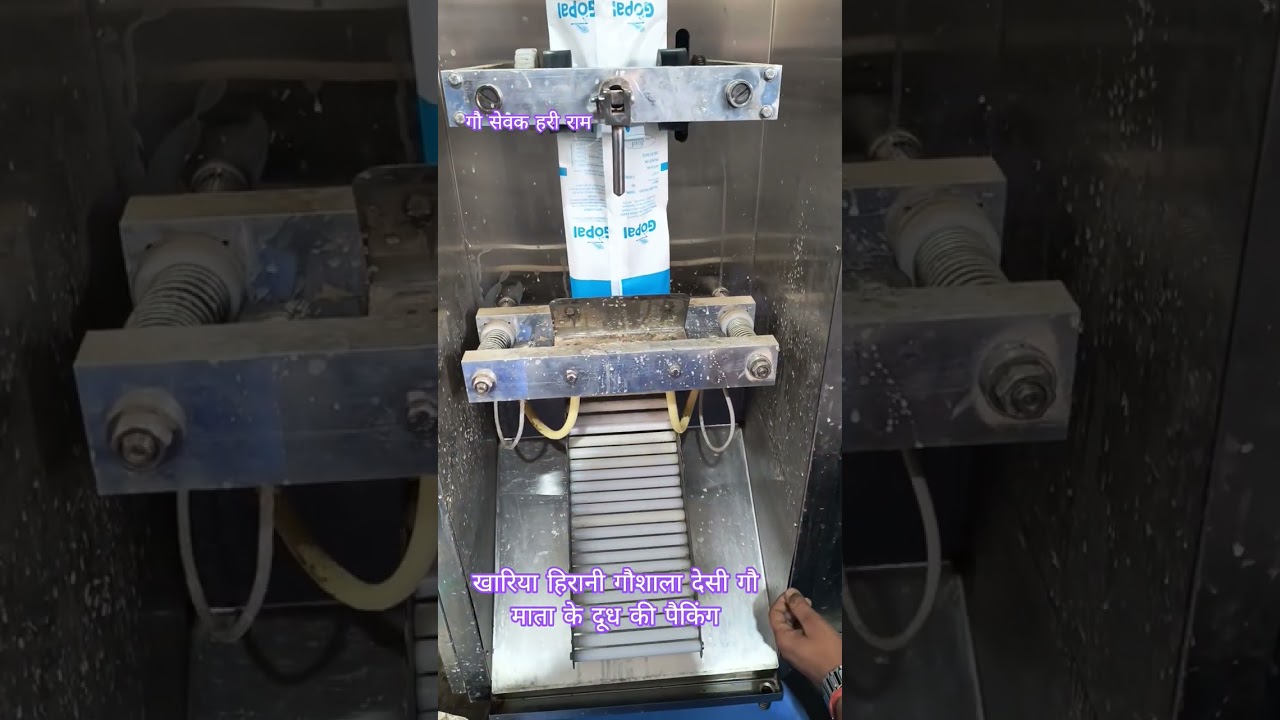 खारिया हिरानी गौशाला देसी गौ माता के दूध की पैकिंग #गौ_सेवक_हरी_राम