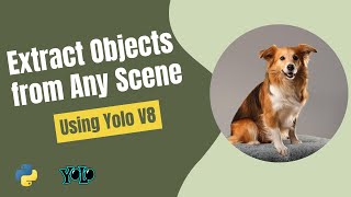 Dog Segmentation Magic : YOLOv8 for Images and Videos (with Code)