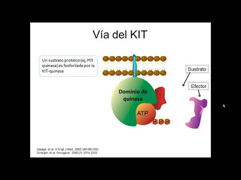 Vídeo: Moduladores Epigenéticos Como Dianas Terapéuticas En El Cáncer De Próstata